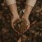 Person-holding-plant-and-mud-in-a-heart-shape